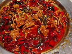 -美蛙四季(望京凯德茂店)