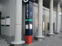 -九头鸟酒家(东高地店)