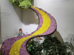 -杭州植物园