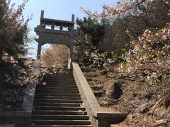 -樱花山风景区