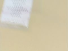-南京东郊国宾馆