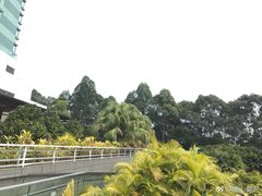 -大埔公路-马料水段香港中文大学(公交站)