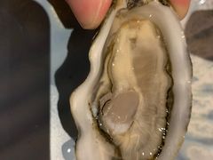 -斯普汇生蚝牛排馆(中骏世界城店)