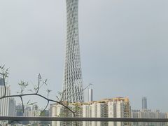 -小茶闲舍·观景商务茶馆(广州塔店)