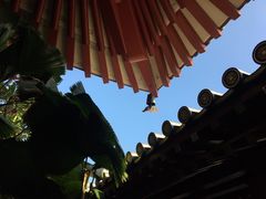 -新加坡佛牙寺龙华院