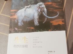 -物质生活书·酒吧