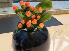 -深圳威尼斯英迪格酒店-邻芙花廊下午茶·NINFA GALLERY·蛋糕·咖啡