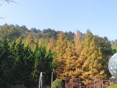 -重庆园博园