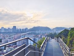 -福道