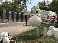 -酷鱼垂钓CLUB(朝阳区博大路店 )