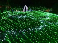 -亚龙湾国际玫瑰谷