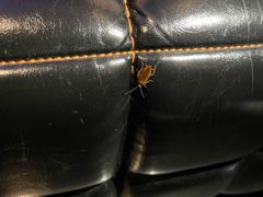 -凯乐会量贩KTV(国防大厦总店)