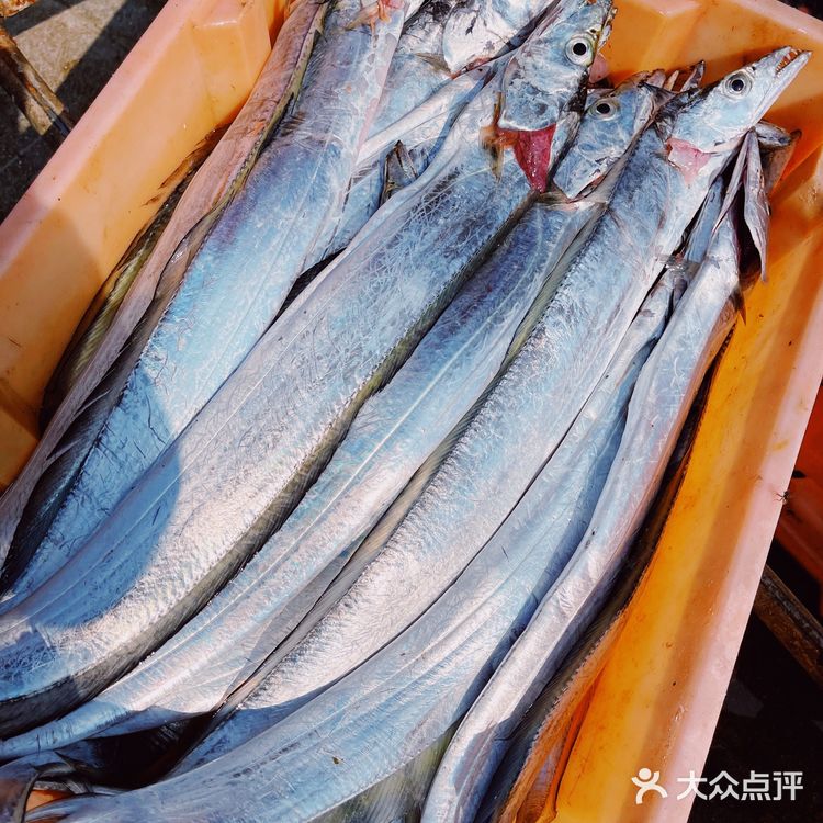 新村码头!海鲜买到爽,帮你避坑!