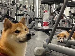 -YCHL Studios健身工作室(市二宫店)