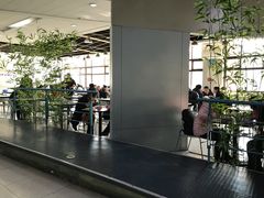大堂-清华大学-观畴园餐厅