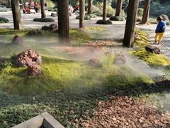 -上海醉白池公园