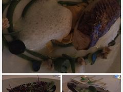 -迪拜帆船酒店海底餐厅