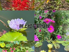 -国家植物园南园