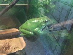 -上海大自然野生昆虫馆