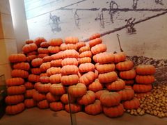 -小六汤包·老字号·中华名小吃(公园南路店)