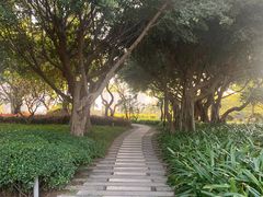-白鹭洲公园