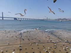 -星海广场