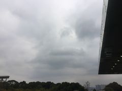 -金鸡湖高尔夫会员专属俱乐部