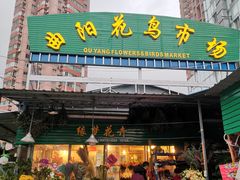 -曲阳花鸟市场(曲阳路店)