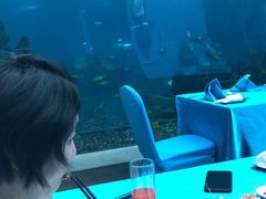 -海棠湾洲际-涛·海底餐厅·美人鱼·自助餐·海底隧道