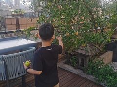 -上海外滩中星君亭酒店