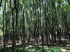 -同里国家湿地公园