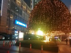 -盛宴自助餐厅(运达喜来登店)