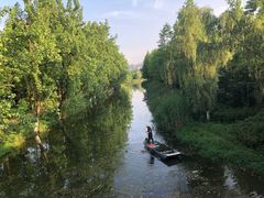 -洋湖国家湿地公园