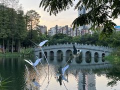 -四海公园(南山区)