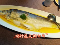 -羲和雅苑•北京烤鸭(瑞吉店)