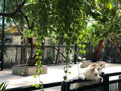 -TrueLove @ Neverland (Husky Cafe)