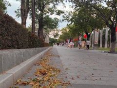 -厦门园林博览苑
