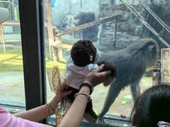 -鄂尔多斯野生动物园