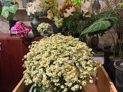 -花二家·生活馆(六运小区店)