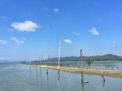 -盐洲岛