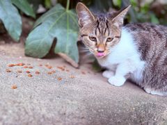 -狼山风景名胜区