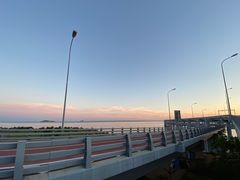 -星海湾跨海大桥
