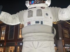 -珠海中海雅高铂尔曼酒店