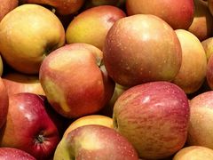 -浦江城市生活广场(江月路店)