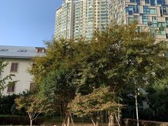 -上海电影博物馆