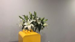 点击看大图 -Deeplus+韩国皮肤管理한국피부관리·C:Lab肌肤实验室