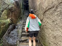 -鲁山国家森林公园