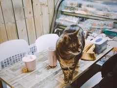 -小时光咖啡馆(北锣鼓巷店)
