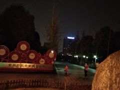 -南翔镇银翔湖公园