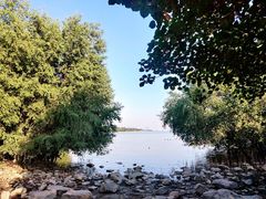 -深圳湾公园(南山区)